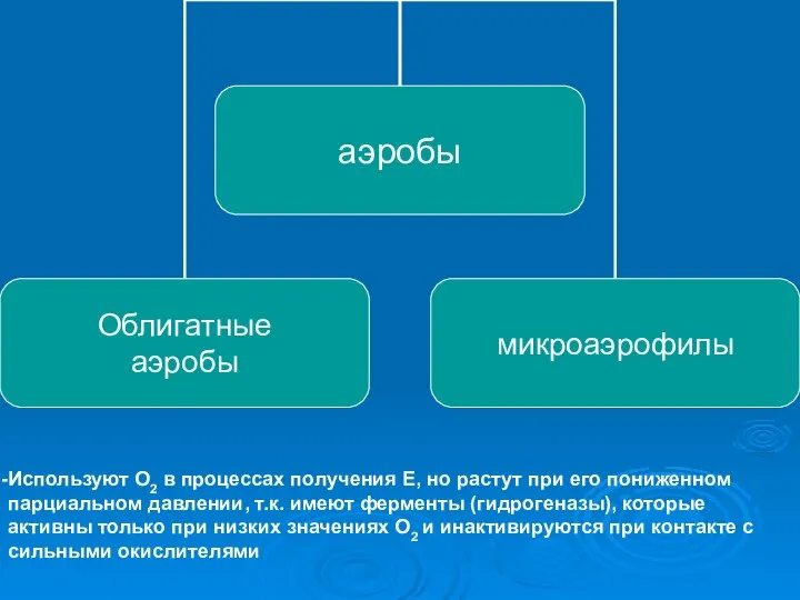 Используют О2 в процессах получения Е, но растут при его пониженном