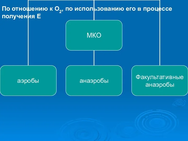 По отношению к О2, по использованию его в процессе получения Е