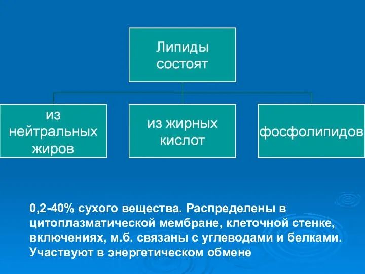 0,2-40% сухого вещества. Распределены в цитоплазматической мембране, клеточной стенке, включениях, м.б.