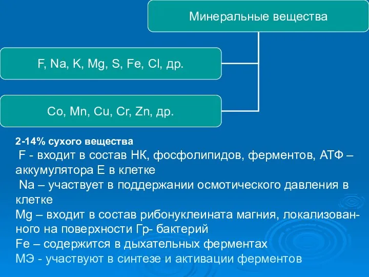 2-14% сухого вещества F - входит в состав НК, фосфолипидов, ферментов,