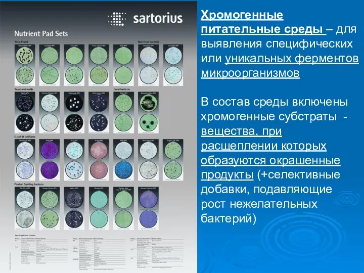 Среды питательные Хромогенные питательные среды – для выявления специфических или уникальных