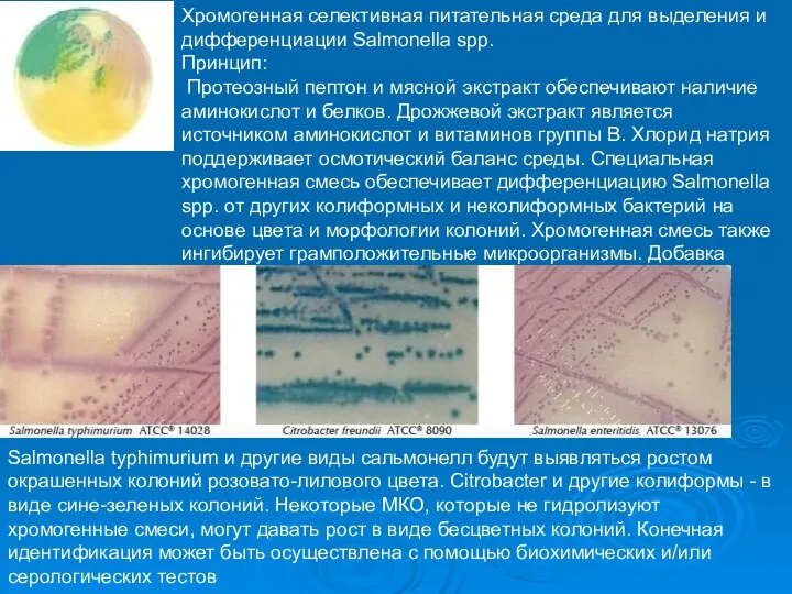 Среды питательные Хромогенная селективная питательная среда для выделения и дифференциации Salmonella