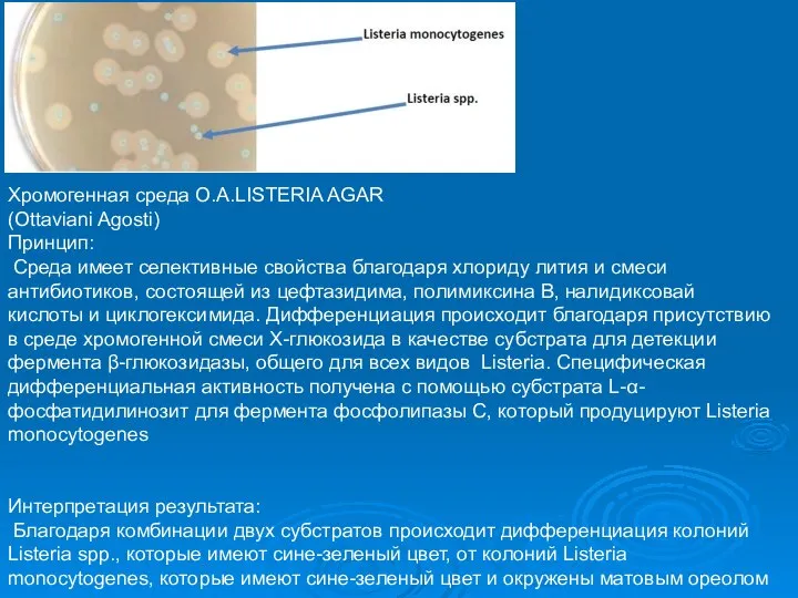 Среды питательные Хромогенная среда O.A.LISTERIA AGAR (Ottaviani Agosti) Принцип: Среда имеет