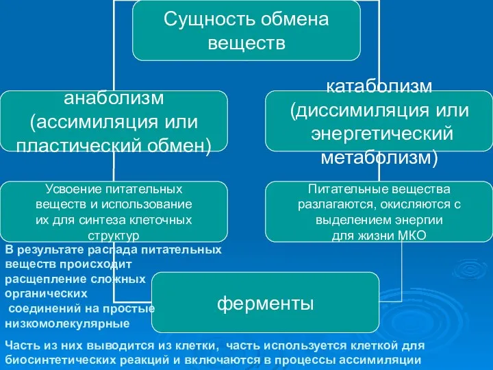 В результате распада питательных веществ происходит расщепление сложных органических соединений на