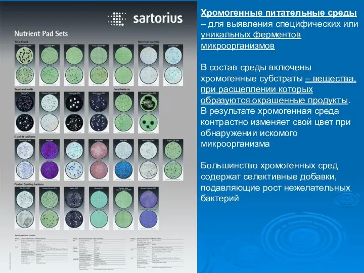 Среды питательные Хромогенные питательные среды – для выявления специфических или уникальных