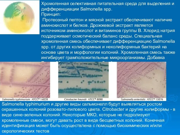 Среды питательные Хромогенная селективная питательная среда для выделения и дифференциации Salmonella