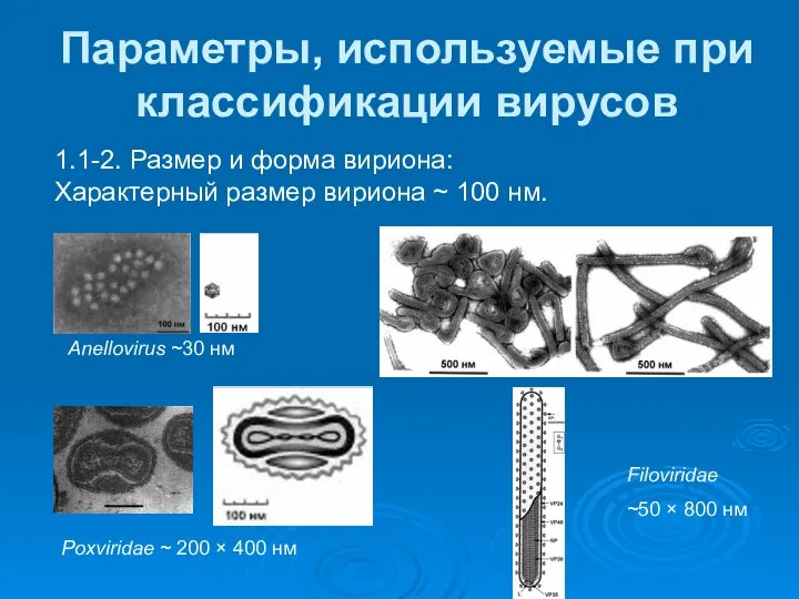 Параметры, используемые при классификации вирусов 1.1-2. Размер и форма вириона: Характерный