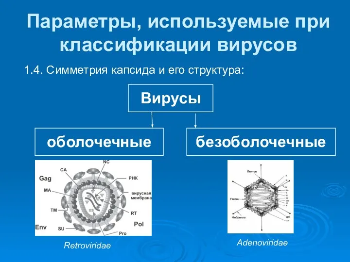 Параметры, используемые при классификации вирусов 1.4. Симметрия капсида и его структура: Вирусы оболочечные безоболочечные Retroviridae Adenoviridae