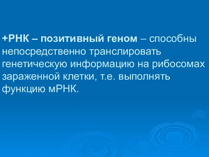 +РНК – позитивный геном – способны непосредственно транслировать генетическую информацию на