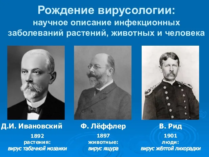 Рождение вирусологии: научное описание инфекционных заболеваний растений, животных и человека Д.И.