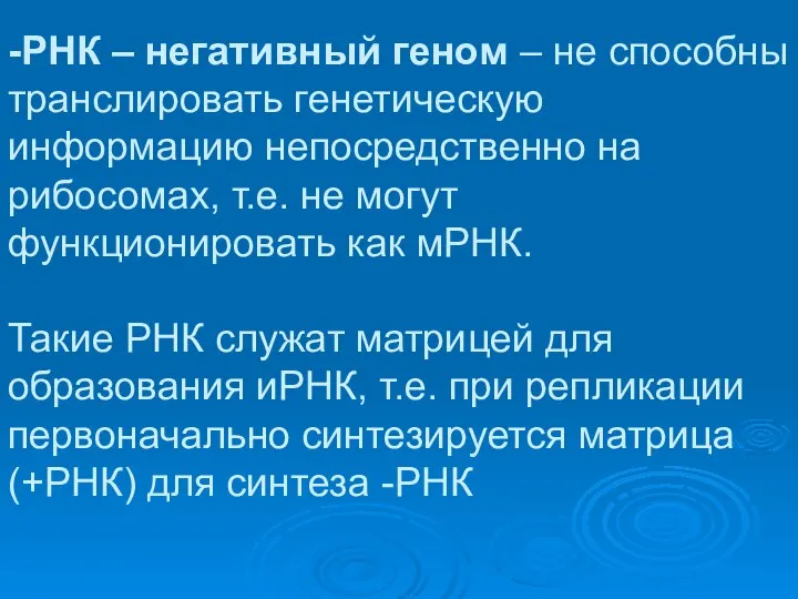 -РНК – негативный геном – не способны транслировать генетическую информацию непосредственно