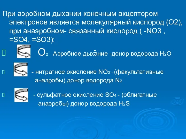 - При аэробном дыхании конечным акцептором электронов является молекулярный кислород (О2),