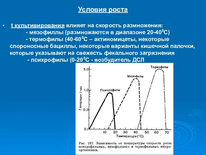 Условия роста t культивирования влияет на скорость размножения: - мезофиллы (размножаются