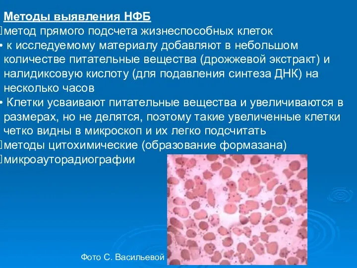 Методы выявления НФБ метод прямого подсчета жизнеспособных клеток к исследуемому материалу