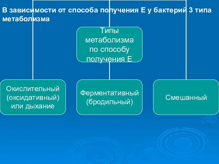 В зависимости от способа получения Е у бактерий 3 типа метаболизма