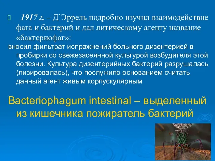 1917 г. – Д`Эррель подробно изучил взаимодействие фага и бактерий и