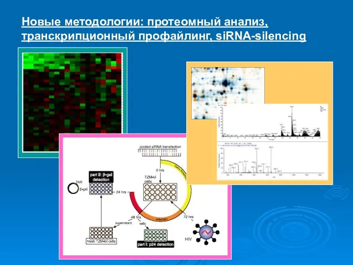 Новые методологии: протеомный анализ, транскрипционный профайлинг, siRNA-silencing