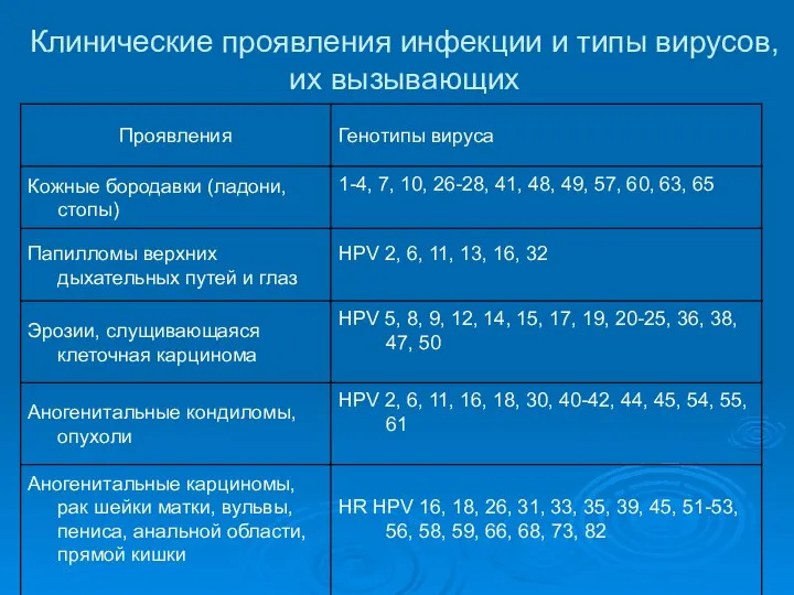 Клинические проявления инфекции и типы вирусов, их вызывающих