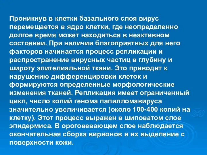 Проникнув в клетки базального слоя вирус перемещается в ядро клетки, где