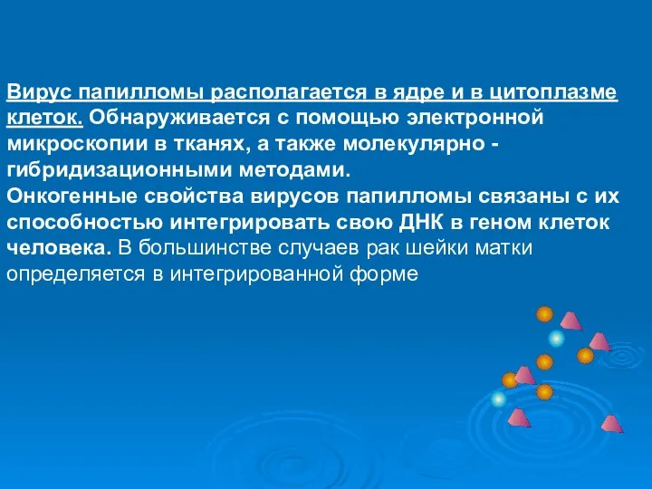 Вирус папилломы располагается в ядре и в цитоплазме клеток. Обнаруживается с