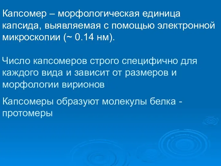 Капсомер – морфологическая единица капсида, выявляемая с помощью электронной микроскопии (~