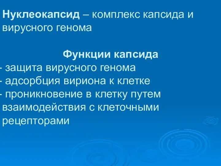 Нуклеокапсид – комплекс капсида и вирусного генома Функции капсида защита вирусного