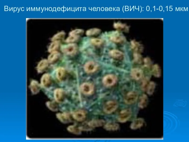 Вирус иммунодефицита человека (ВИЧ): 0,1-0,15 мкм