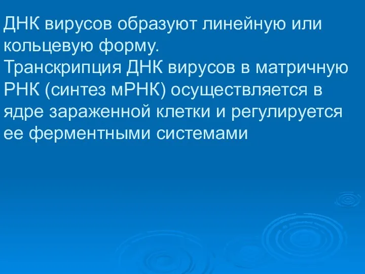 ДНК вирусов образуют линейную или кольцевую форму. Транскрипция ДНК вирусов в