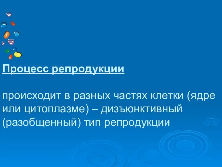 Процесс репродукции происходит в разных частях клетки (ядре или цитоплазме) – дизъюнктивный (разобщенный) тип репродукции