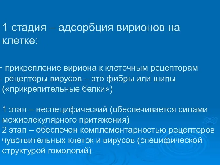 1 стадия – адсорбция вирионов на клетке: прикрепление вириона к клеточным