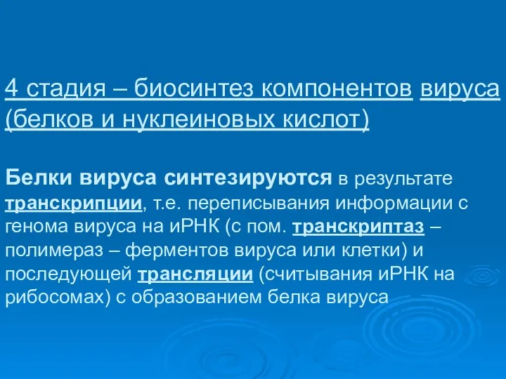 4 стадия – биосинтез компонентов вируса (белков и нуклеиновых кислот) Белки