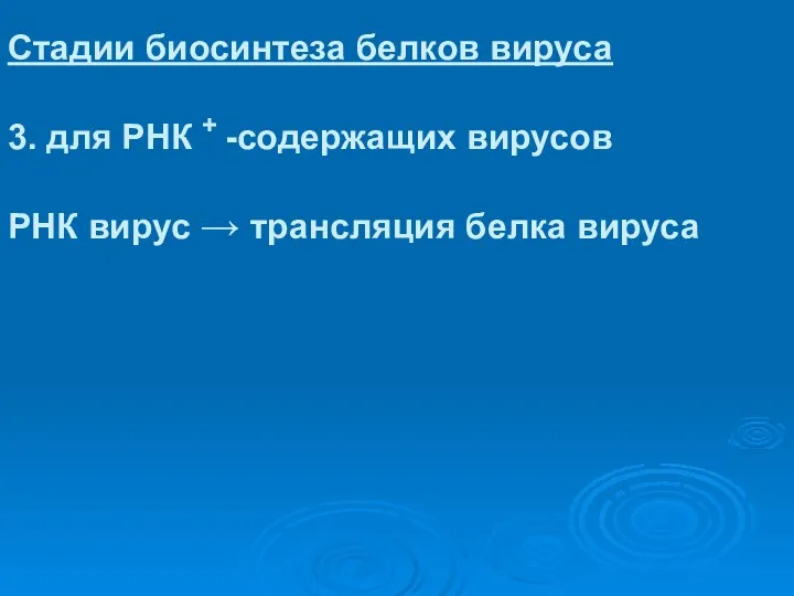 Стадии биосинтеза белков вируса 3. для РНК + -содержащих вирусов РНК вирус → трансляция белка вируса