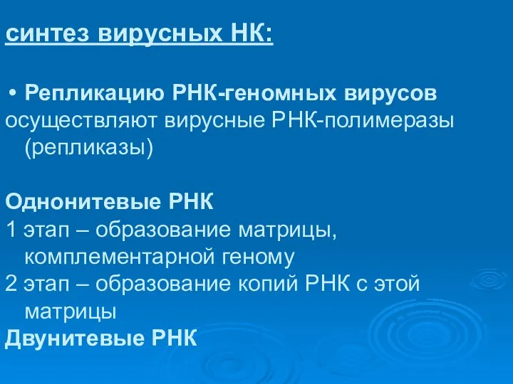 синтез вирусных НК: Репликацию РНК-геномных вирусов осуществляют вирусные РНК-полимеразы (репликазы) Однонитевые