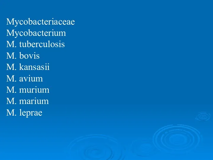 Mycobacteriaceae Mycobacterium M. tuberculosis M. bovis M. kansasii M. avium M. murium M. marium M. leprae