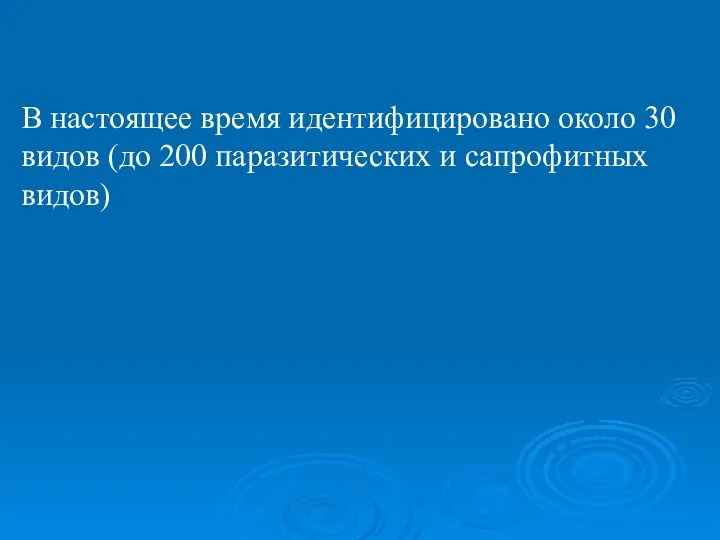 В настоящее время идентифицировано около 30 видов (до 200 паразитических и сапрофитных видов)