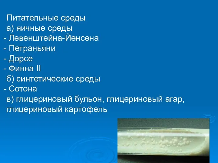 Питательные среды а) яичные среды Левенштейна-Йенсена Петраньяни Дорсе Финна II б)