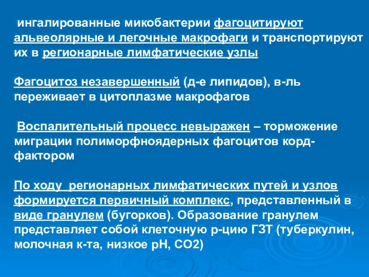 ингалированные микобактерии фагоцитируют альвеолярные и легочные макрофаги и транспортируют их в