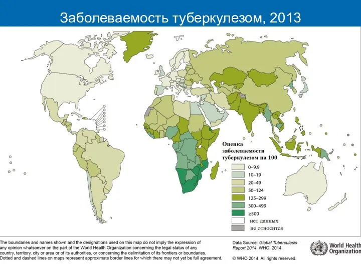 Заболеваемость туберкулезом, 2013