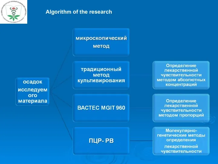 Algorithm of the research