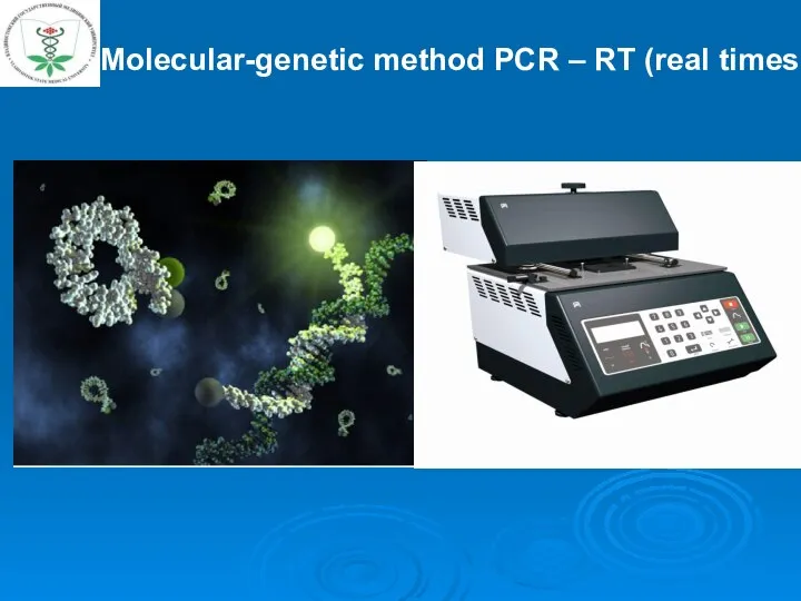 Allows to carry out qualitative and quantitative PCR-analysis in agarose gel.