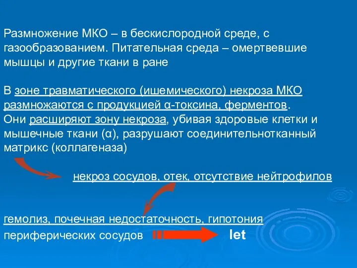 Размножение МКО – в бескислородной среде, с газообразованием. Питательная среда –