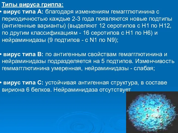 Типы вируса гриппа: вирус типа А: благодаря изменениям гемагглютинина с периодичностью