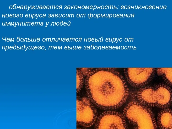 обнаруживается закономерность: возникновение нового вируса зависит от формирования иммунитета у людей