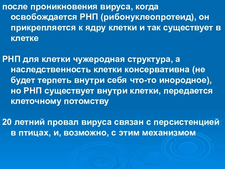 после проникновения вируса, когда освобождается РНП (рибонуклеопротеид), он прикрепляется к ядру