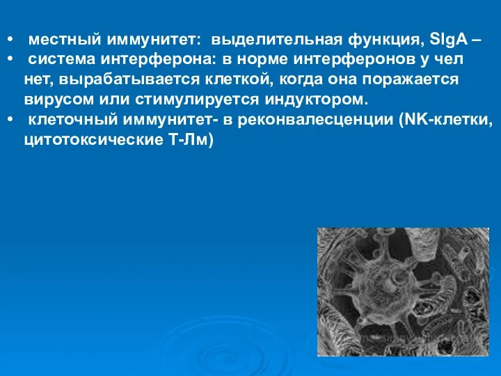 местный иммунитет: выделительная функция, SIgA – система интерферона: в норме интерферонов