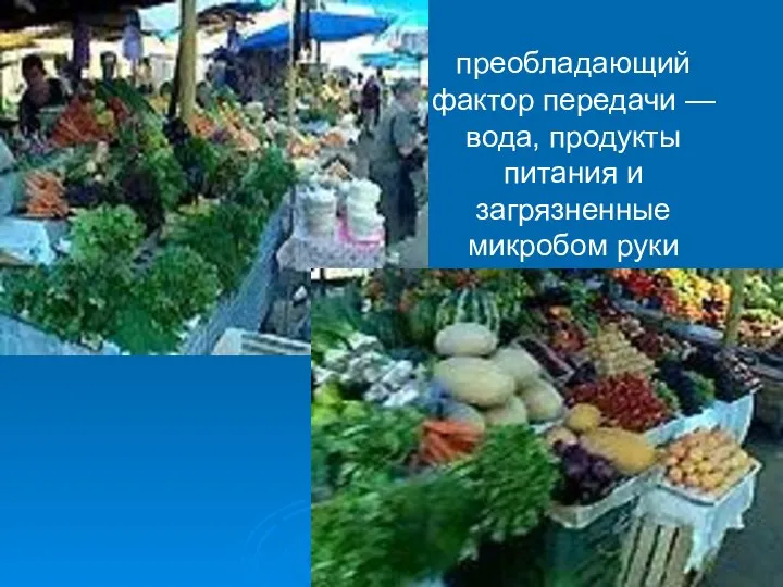 преобладающий фактор передачи — вода, продукты питания и загрязненные микробом руки