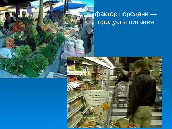 фактор передачи —продукты питания