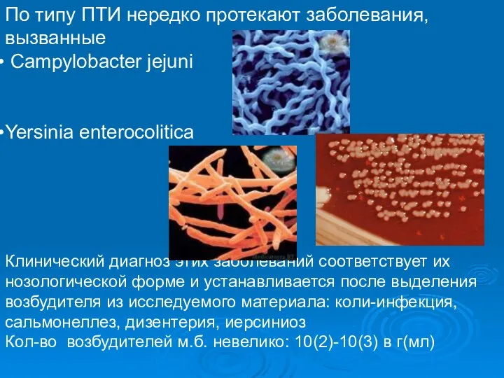 По типу ПТИ нередко протекают заболевания, вызванные Campylobacter jejuni Yersinia enterocolitica