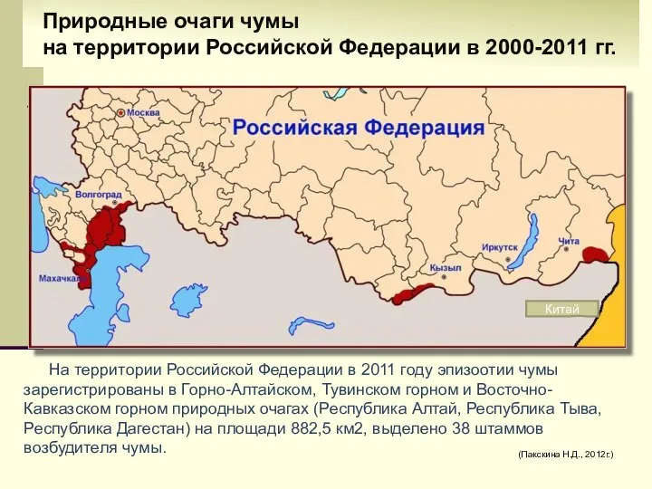 На территории Российской Федерации в 2011 году эпизоотии чумы зарегистрированы в