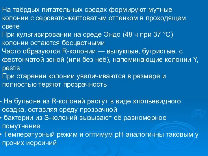 На твёрдых питательных средах формируют мутные колонии с серовато-желтоватым оттенком в